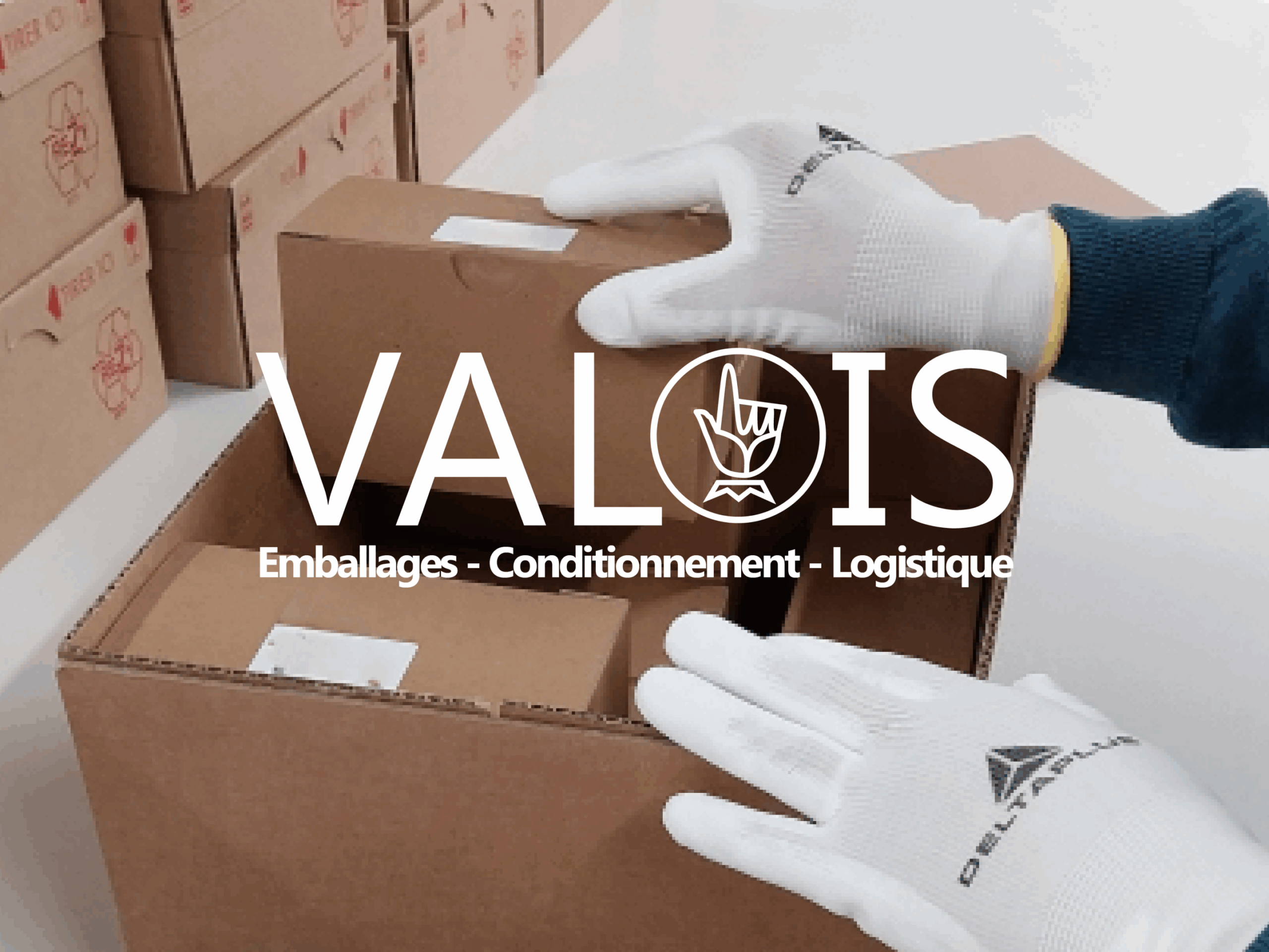 identité visuelle industrie carton